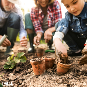 PLANTING PARTY PLANTING PARTY